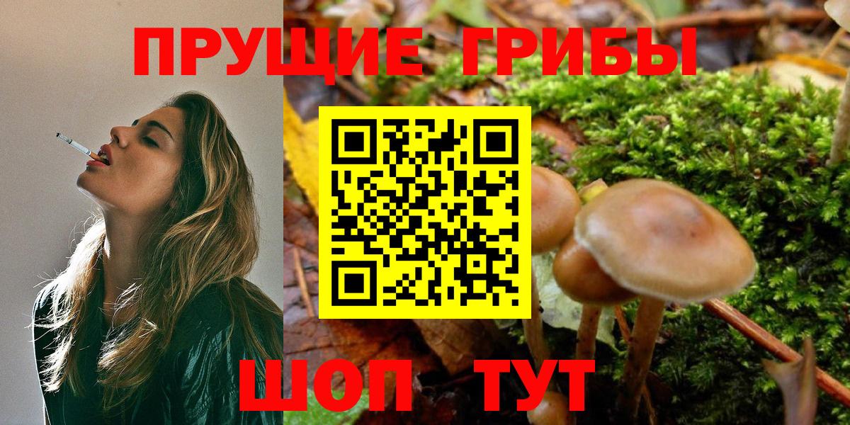 Галлюциногенные грибы GOLDEN TEACHER Алексин
