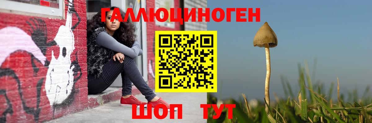 Алексин  Псилоцибиновые грибы Psilocybe  Вход с VPN 